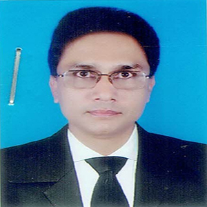 Muhammad Mohibul Hasan
